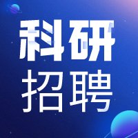 在低放大率下对细胞